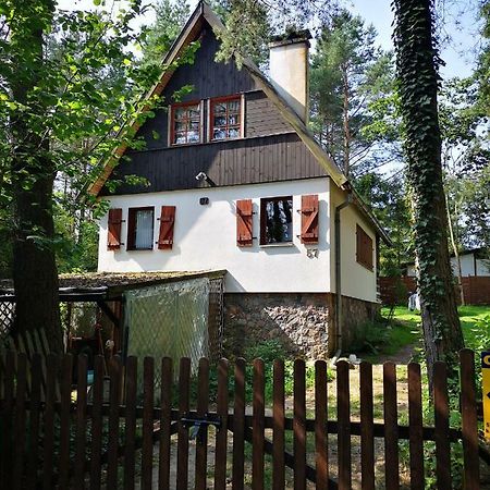 Vila Dom Stare Czaple Exteriér fotografie