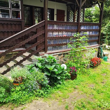 Vila Dom Stare Czaple Exteriér fotografie