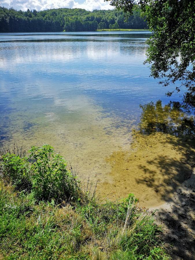 Vila Dom Stare Czaple Exteriér fotografie