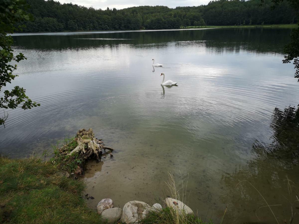 Vila Dom Stare Czaple Exteriér fotografie